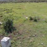 LAND FOR SALE-NBPL-15