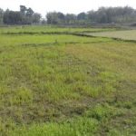 LAND FOR SALE-NBPL-23